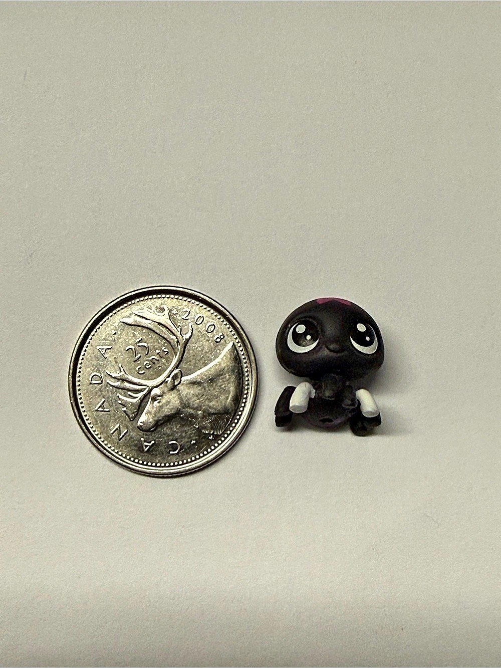 Littlest Pet Shop (Series 1) #1-26 Shady Gardenspider Teeniest Tiniest